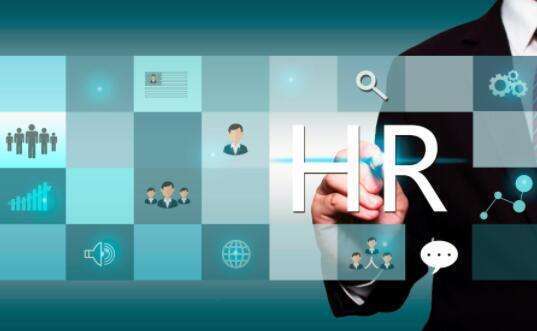 人力資源 人力資源